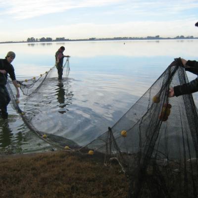 Practicas De Pesca 2007