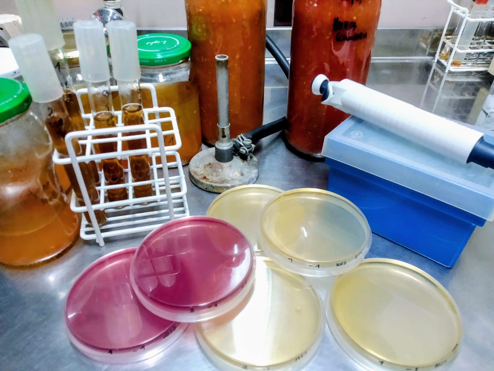 Procesamiento de muestras de salsa de tomate