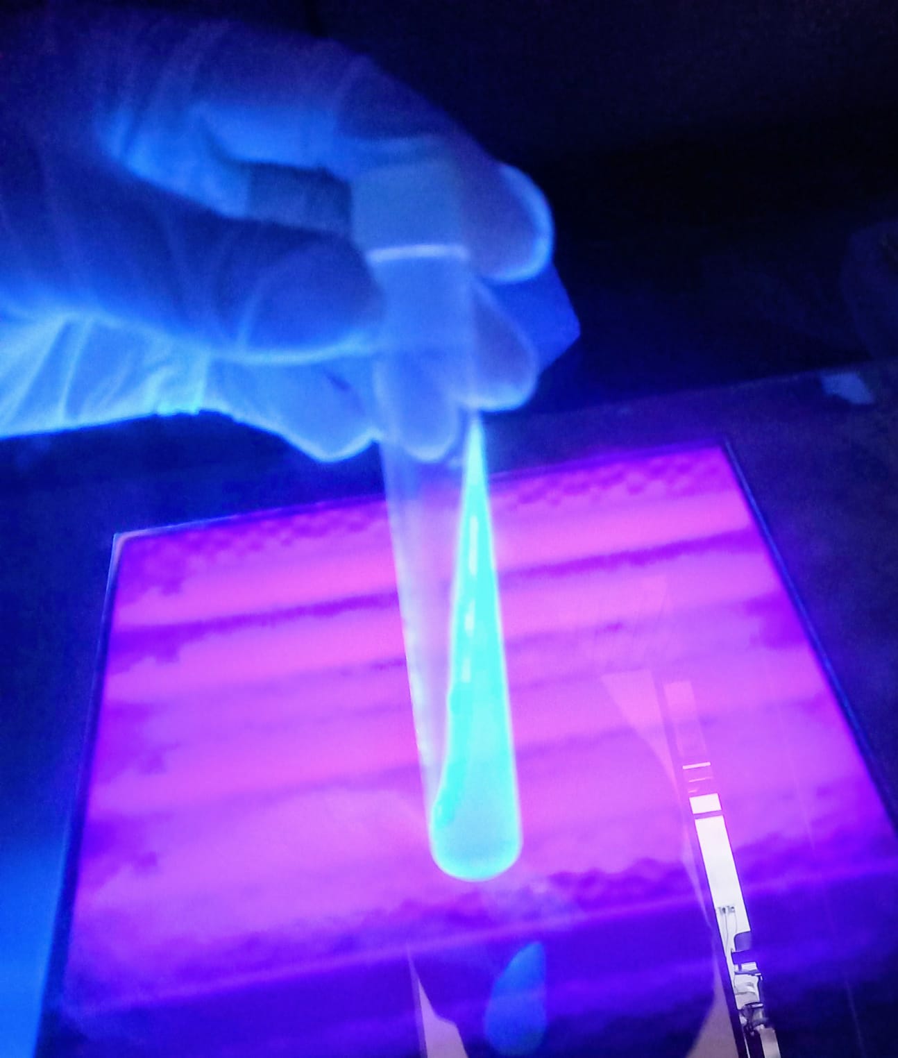 Reacción típica de P. aeruginosa en agar F