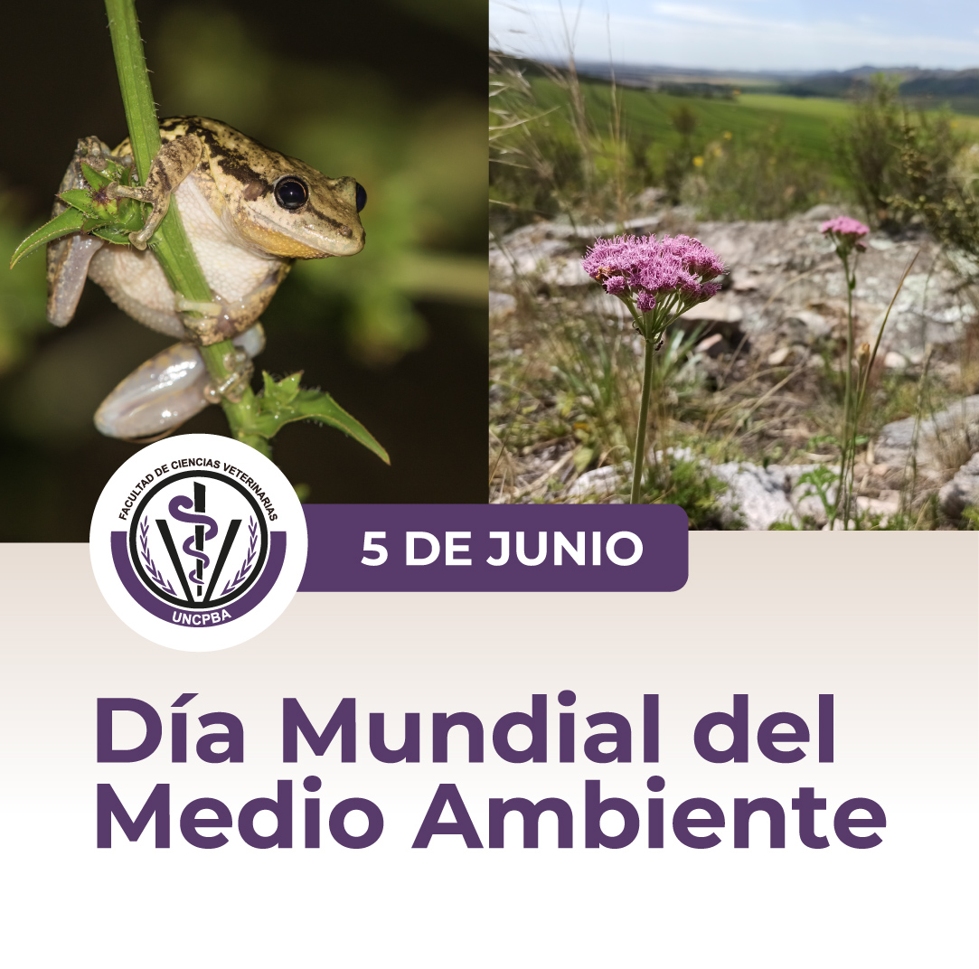 5 de Junio: Día Mundial del Medio Ambiente