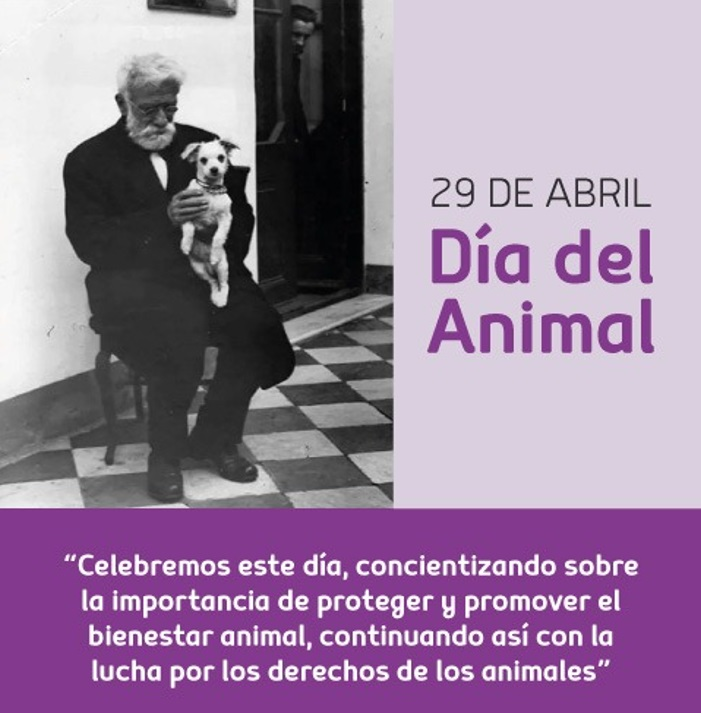29 de Abril - Día del Animal