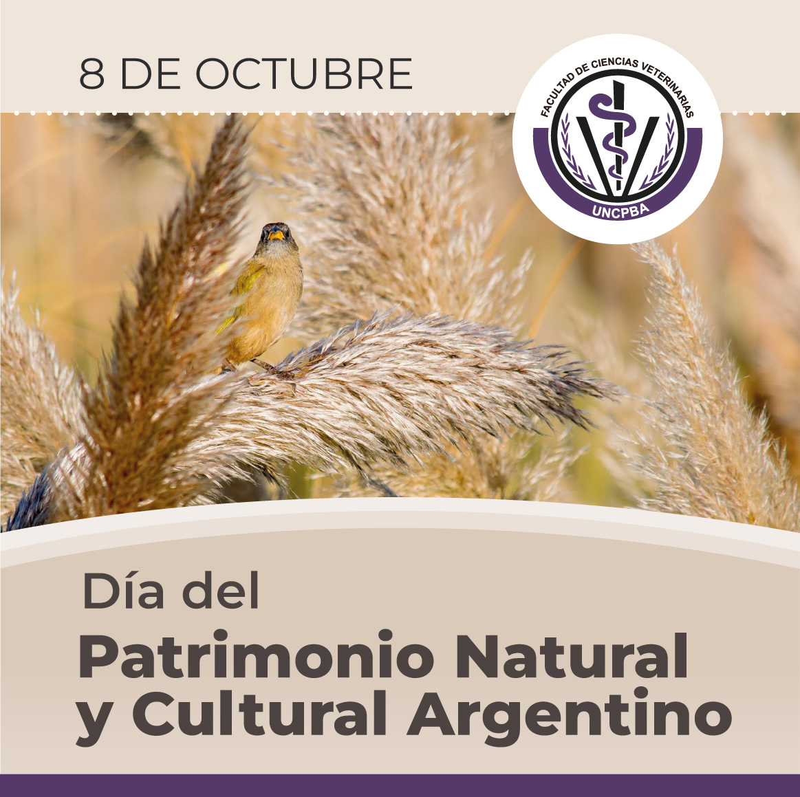 8/10  - Día del Patrimonio Natural y Cultural Argentino