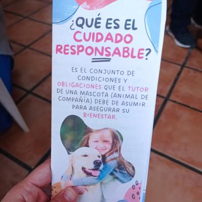 Cuidado Responsable De Animales De Compania 3