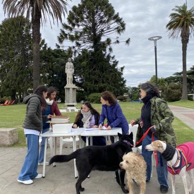 Actividades Fcv Dia Del Animal En Juarez 3