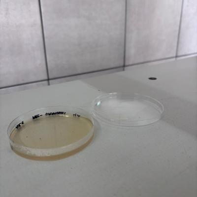 Actividad Extension Lta Coope Estandiltomate 17