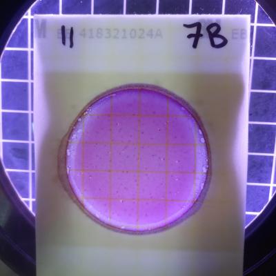 Analisis Lta Cooperativa 1
