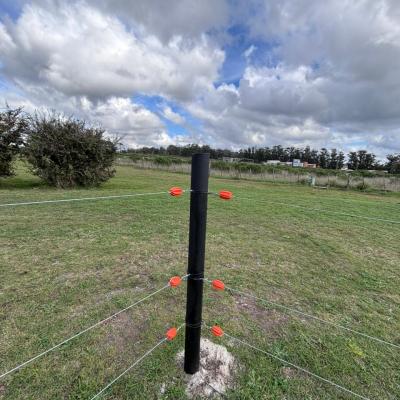 Jornada Alambrados Fcv 12