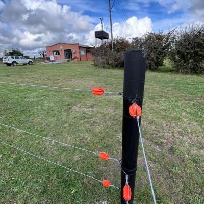 Jornada Alambrados Fcv 15