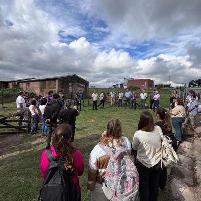 Jornada Alambrados Fcv 1