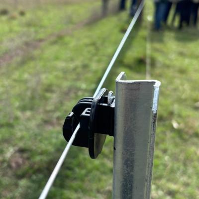 Jornada Alambrados Fcv 6 0