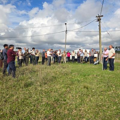 Jornada Alambrados Fcv 6 1