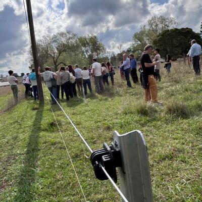 Jornada Alambrados Fcv 9 0