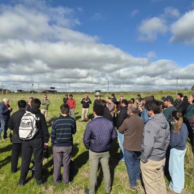 Taller Pastoreo 21