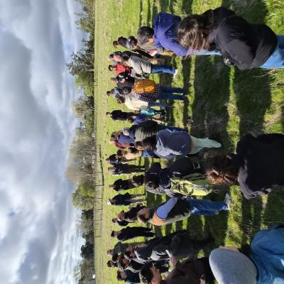 Taller Pastoreo 25