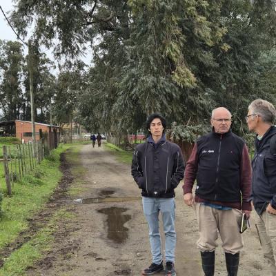 Taller Pastoreo 3