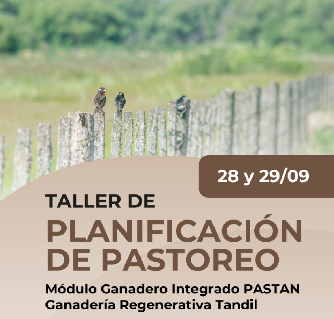 Taller de Planificación de Pastoreo
