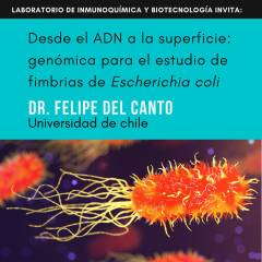 Charla: “Desde el ADN a la superficie: genómica para el estudio de fimbrias de Escherichia coli” Prof. Felipe Del Canto . Jueves 21 de noviembre -14 hs 