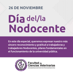 26 de noviembre - Día del/la Nodocente Universitario