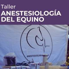 Taller de Anestesiología del Equino