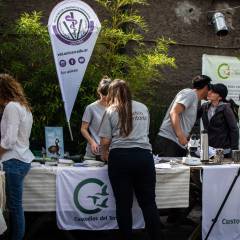 UNICEN Semana de la Extensión 2025: Fortaleciendo el vínculo territorial y el compromiso social