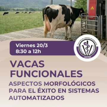 VACAS FUNCIONALES: Aspectos Morfológicos para el éxito en Sistemas Automatizados