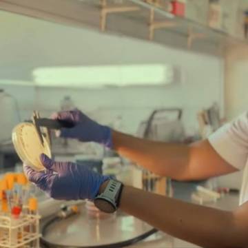 Ciencia y Compromiso: El Rol del Laboratorio de Microbiología de la UNICEN en la Salud Pública