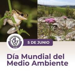 5 de Junio: Día Mundial del Medio Ambiente