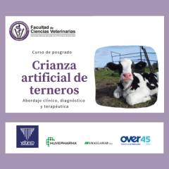Curso de Posgrado: Crianza Artificial de Terneros - Abordaje clínico, diagnóstico y terapéutica