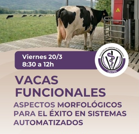 VACAS FUNCIONALES: Aspectos Morfológicos para el éxito en Sistemas Automatizados